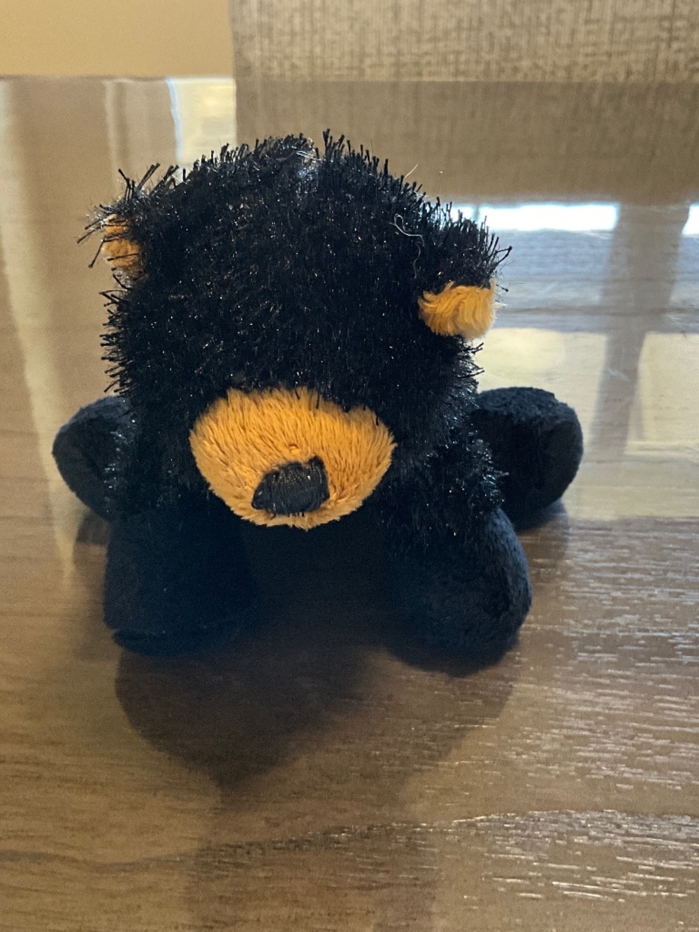 GANZ WEBKIN LIL KINZ BLACK BEAR# HS004
